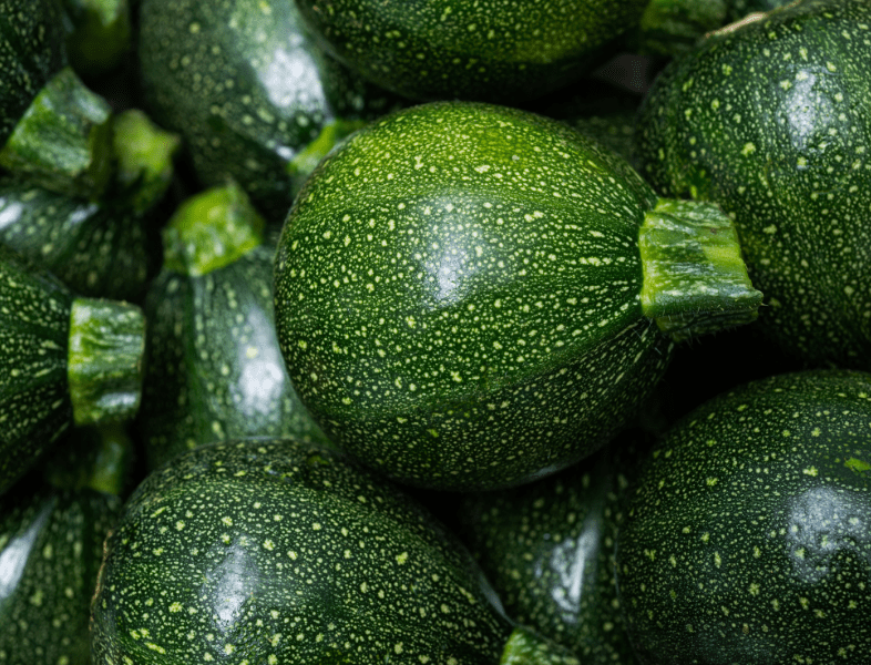 PLATEAU DE COURGETTES RONDES - 5kg