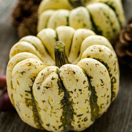 Courge Patidou - sweet dumpling (pièce)