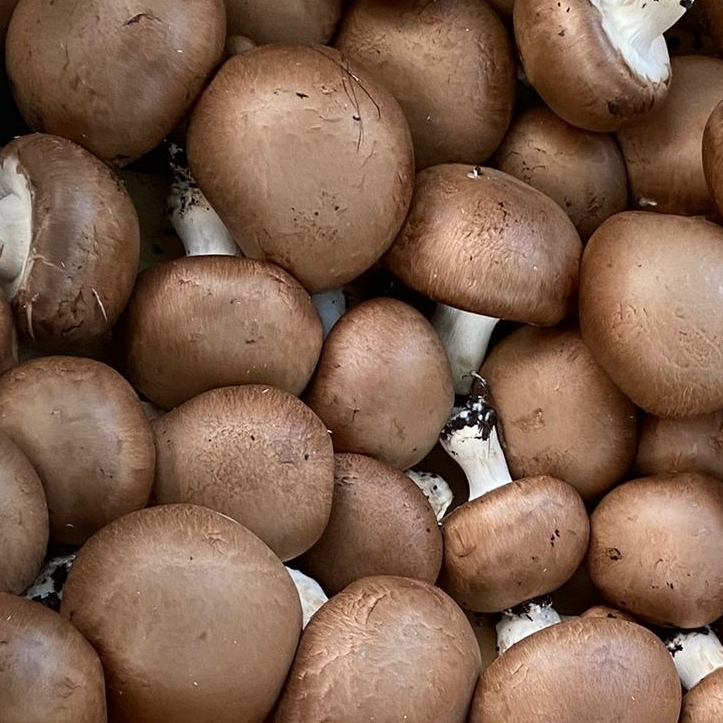 Champignon de Paris - 250g