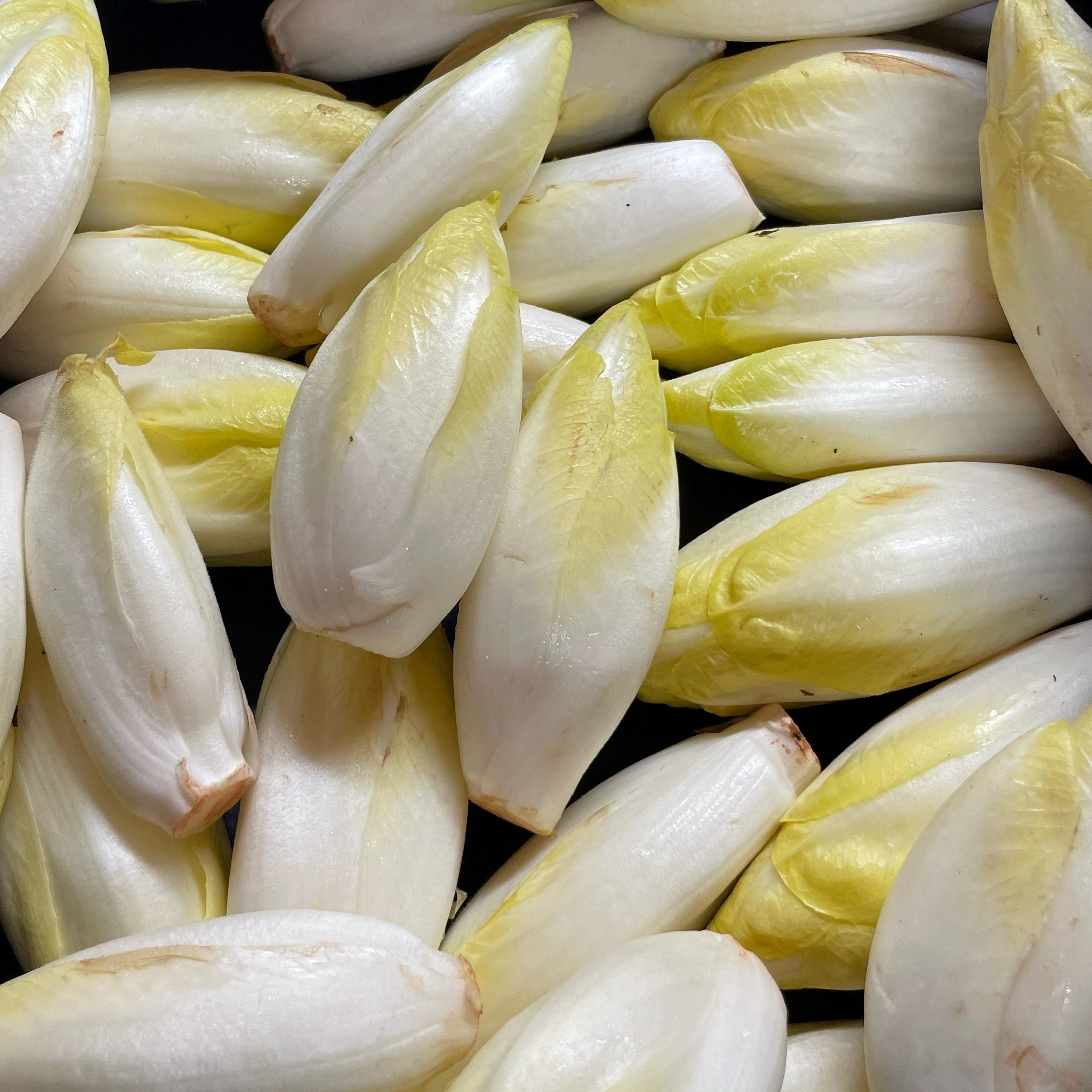 Endive