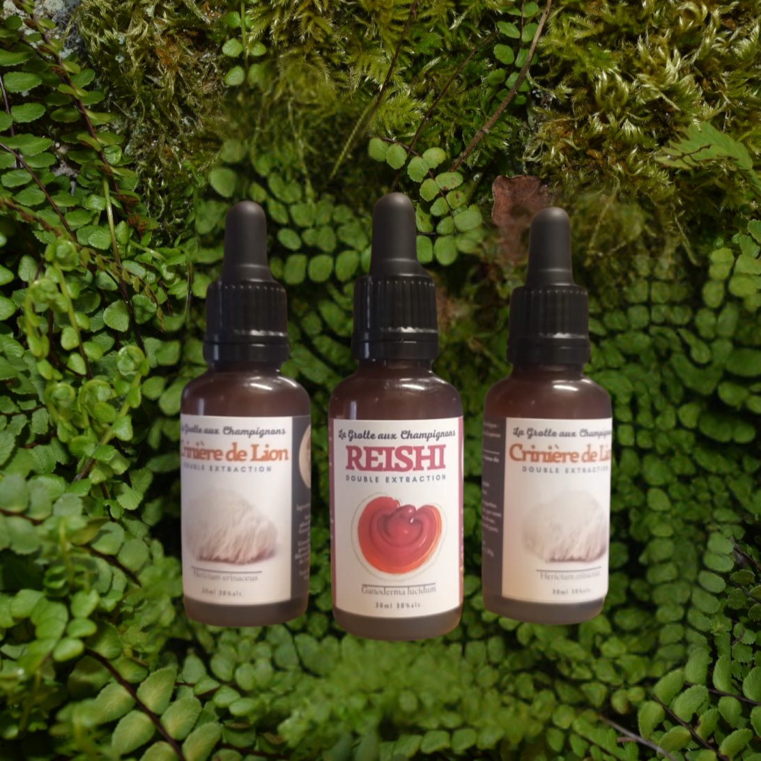 Kit "Cure Équilibre" 30ml