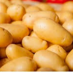 Pomme de terre Allians (100gr)