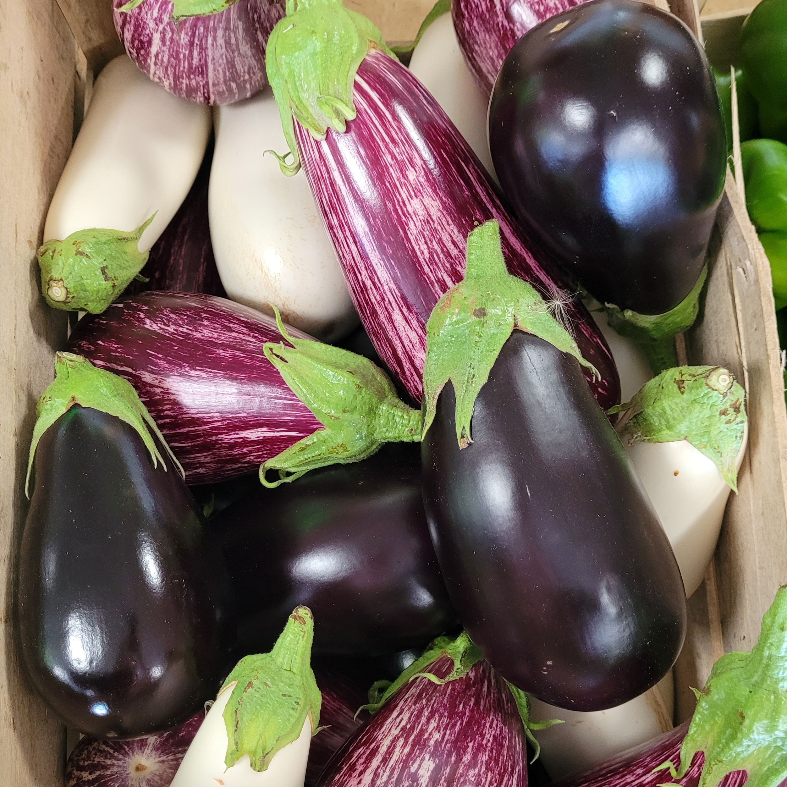 Aubergine 0,5 KG