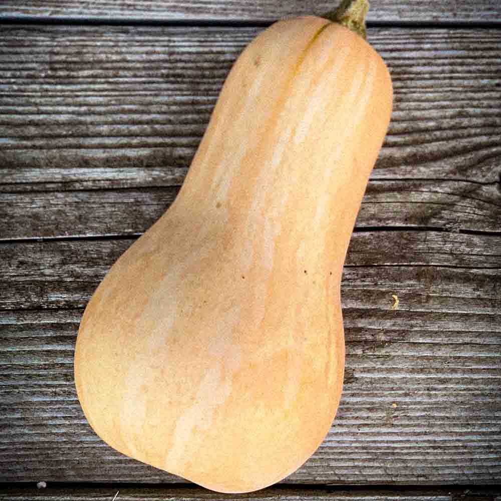 Butternut - Pièce - 1,5kg