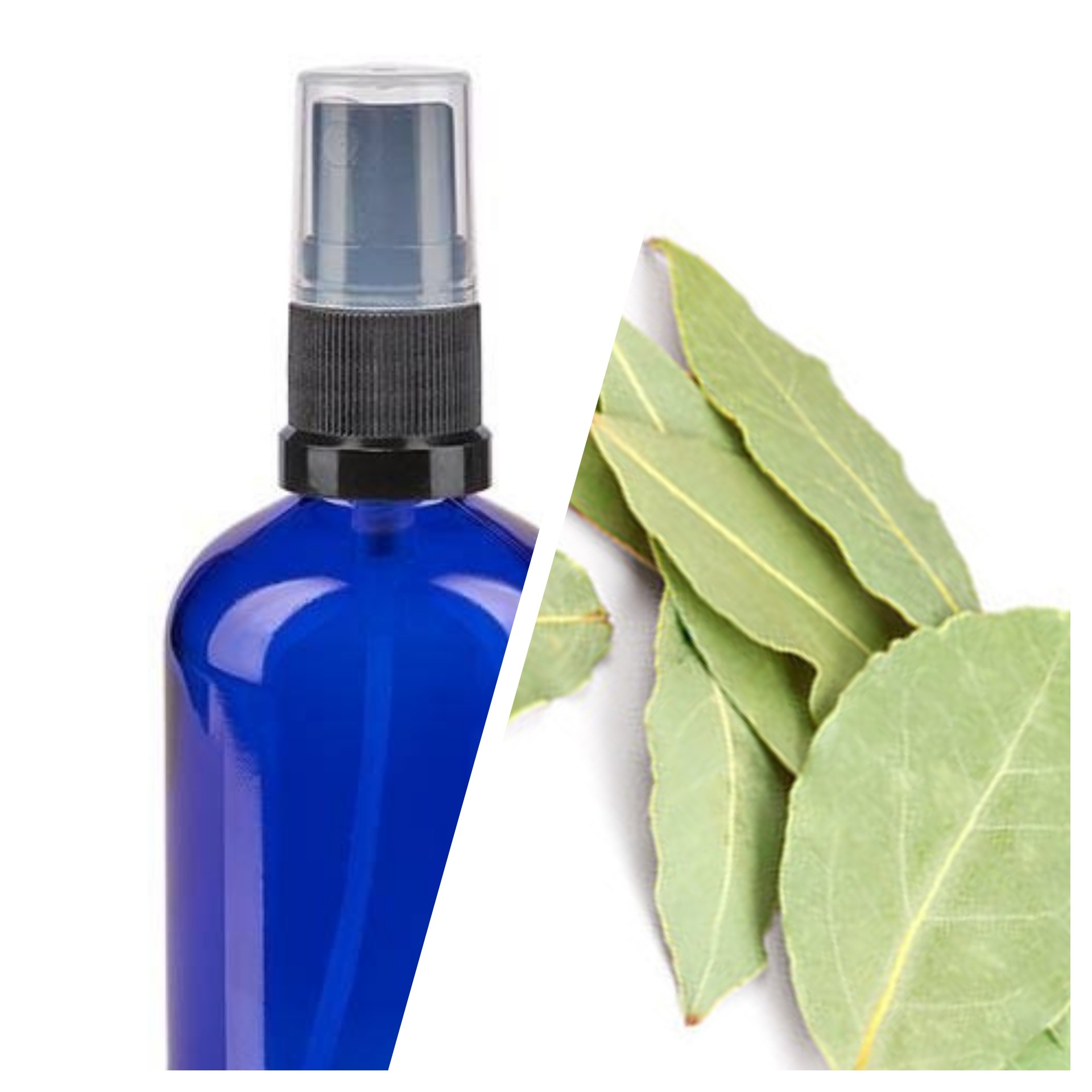 Hydrolat de Laurier sauce spray (plante distillée )