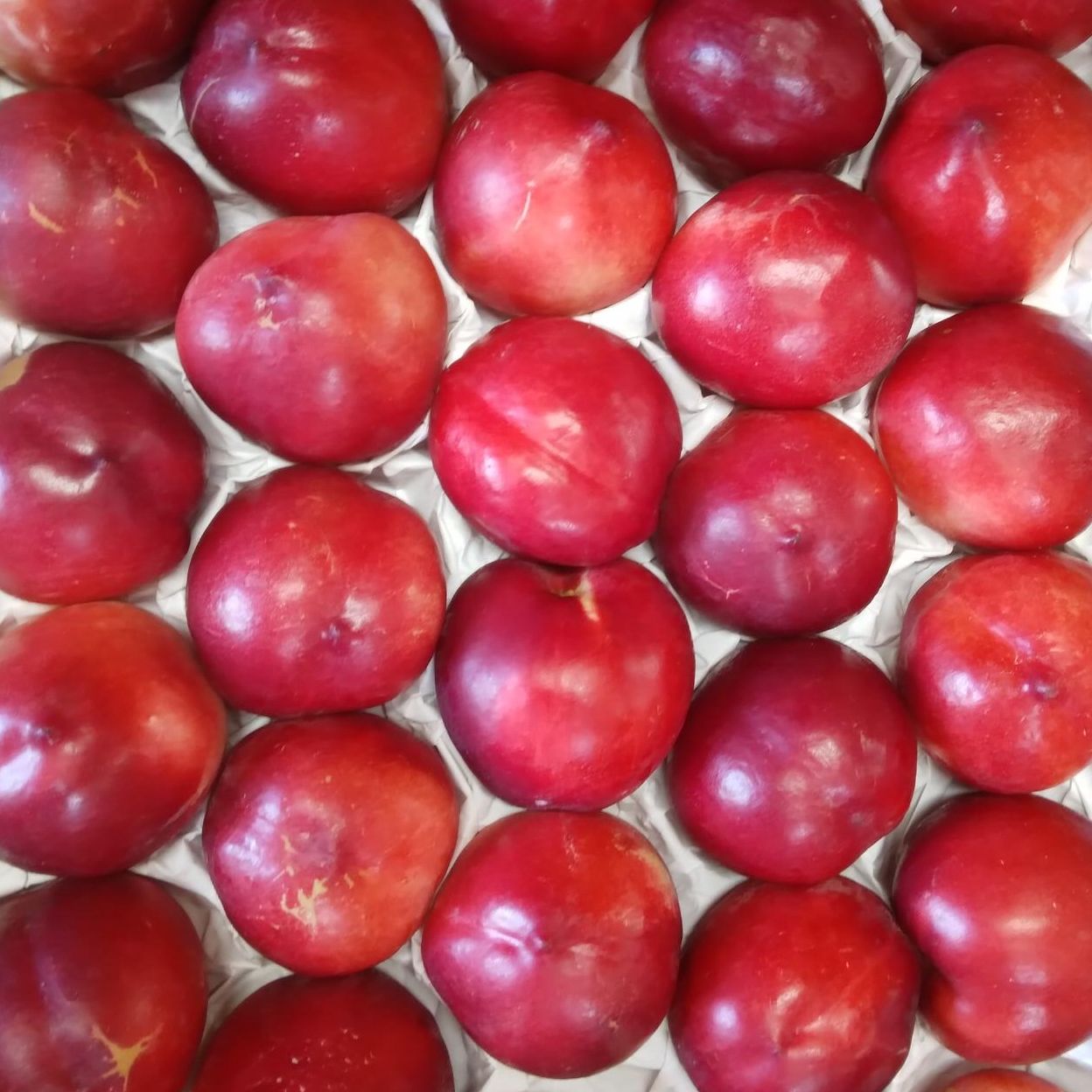 Nectarine blanche