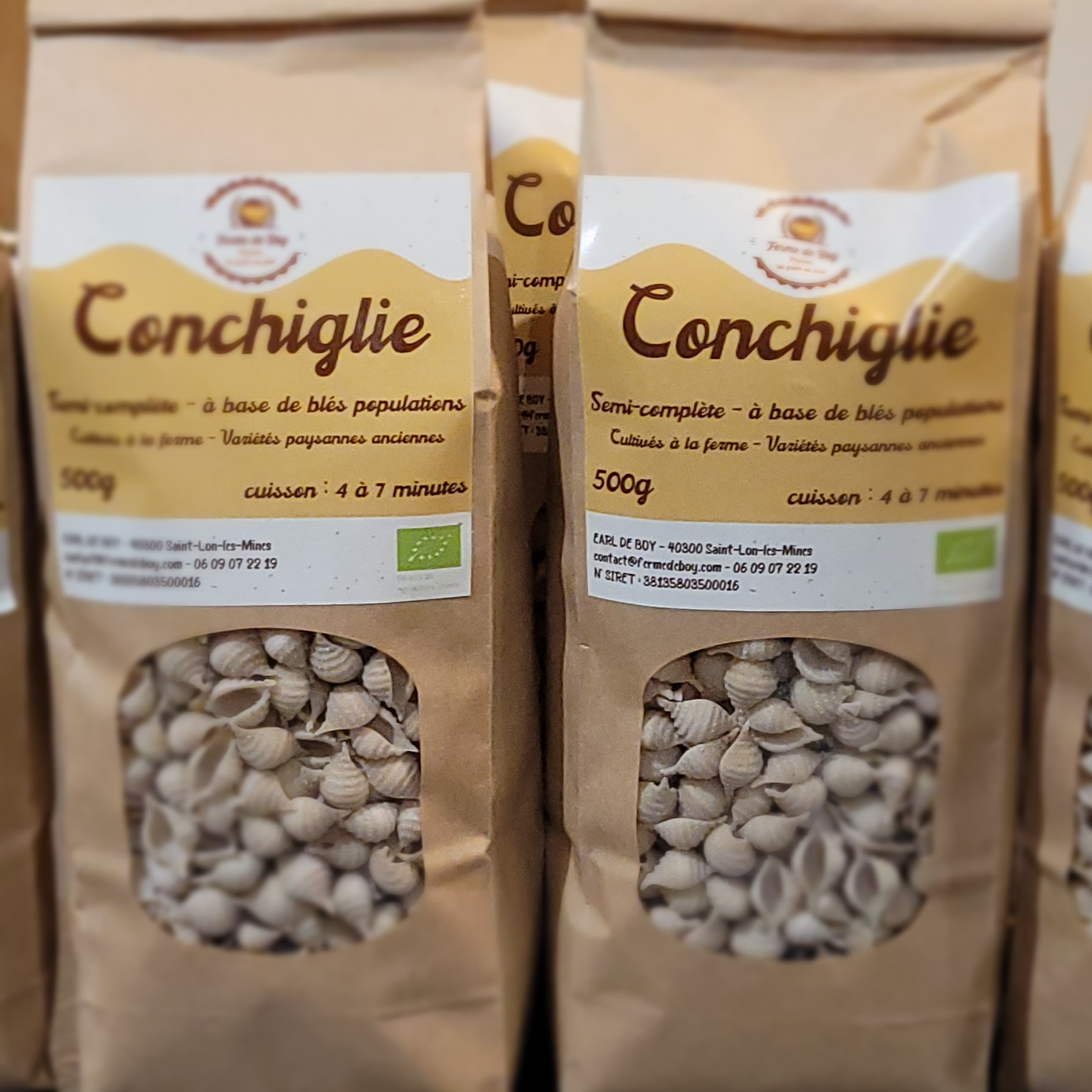 Conchiglie blés populations - sachet 500g