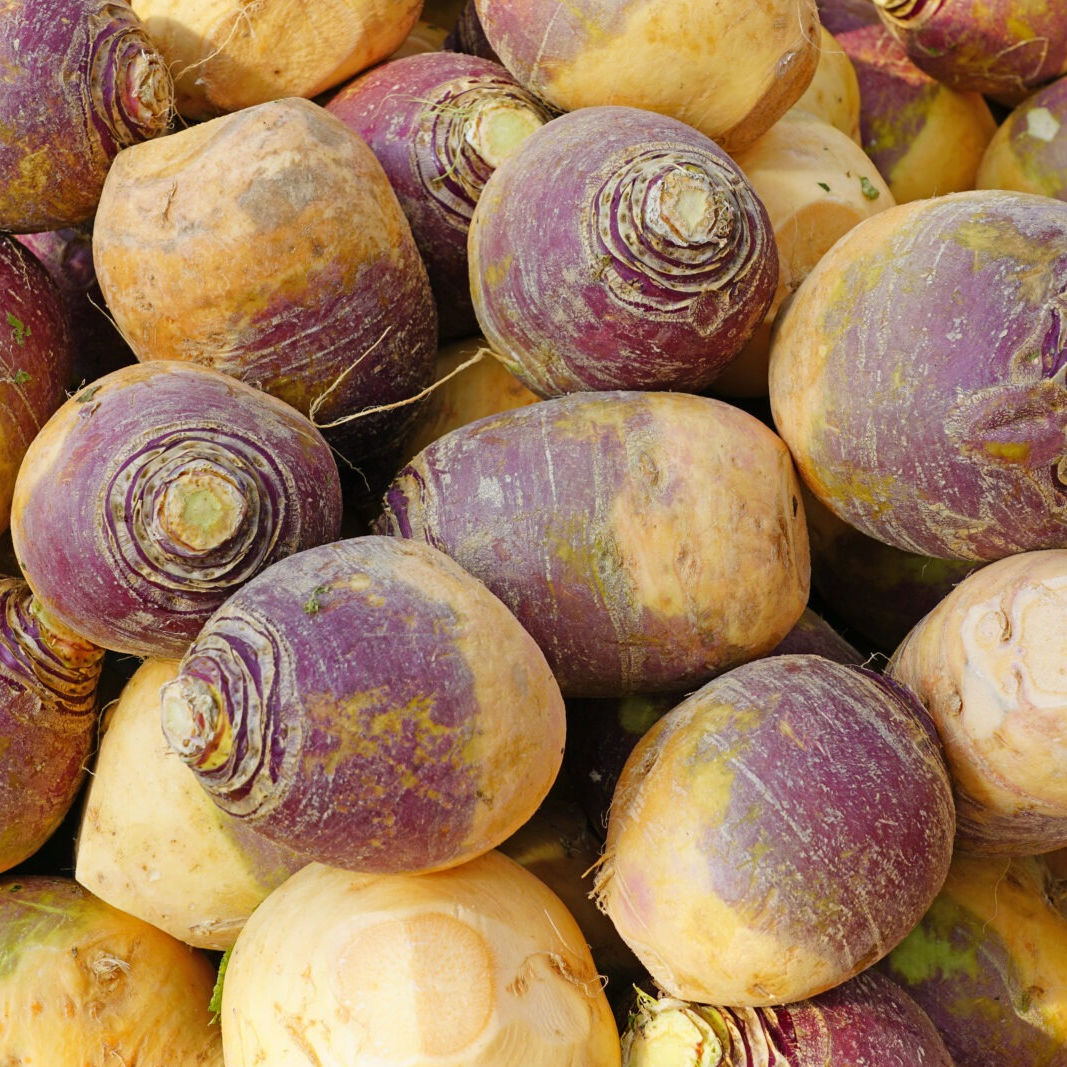 Rutabaga