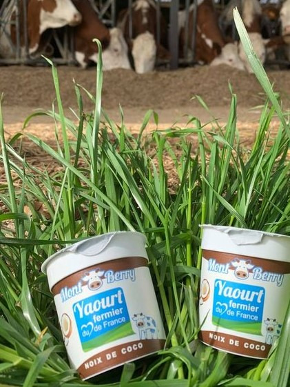yaourt aromatisés "montberry" X 1