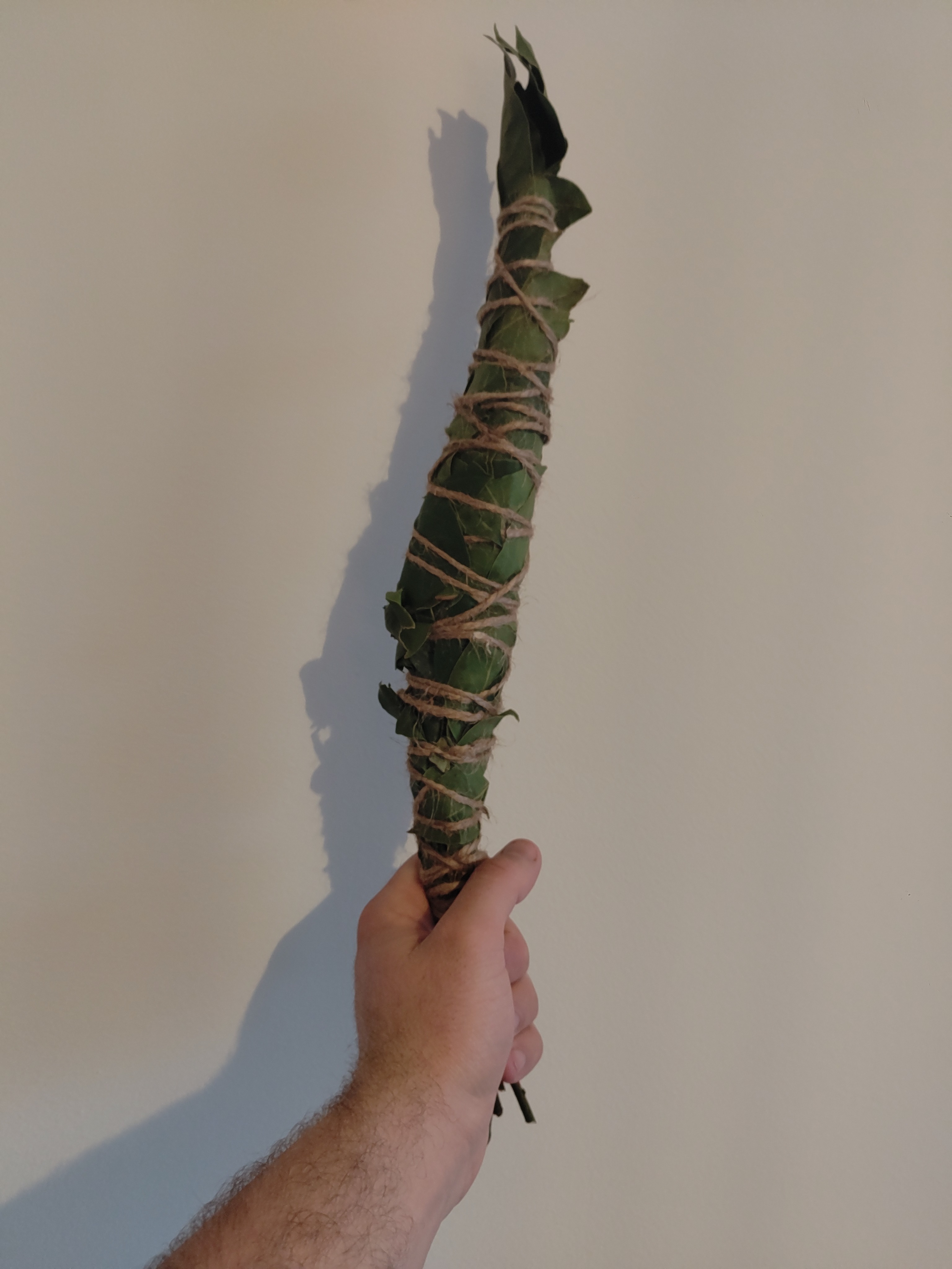 Bâton de fumigation LAURIER NOBLE grand format