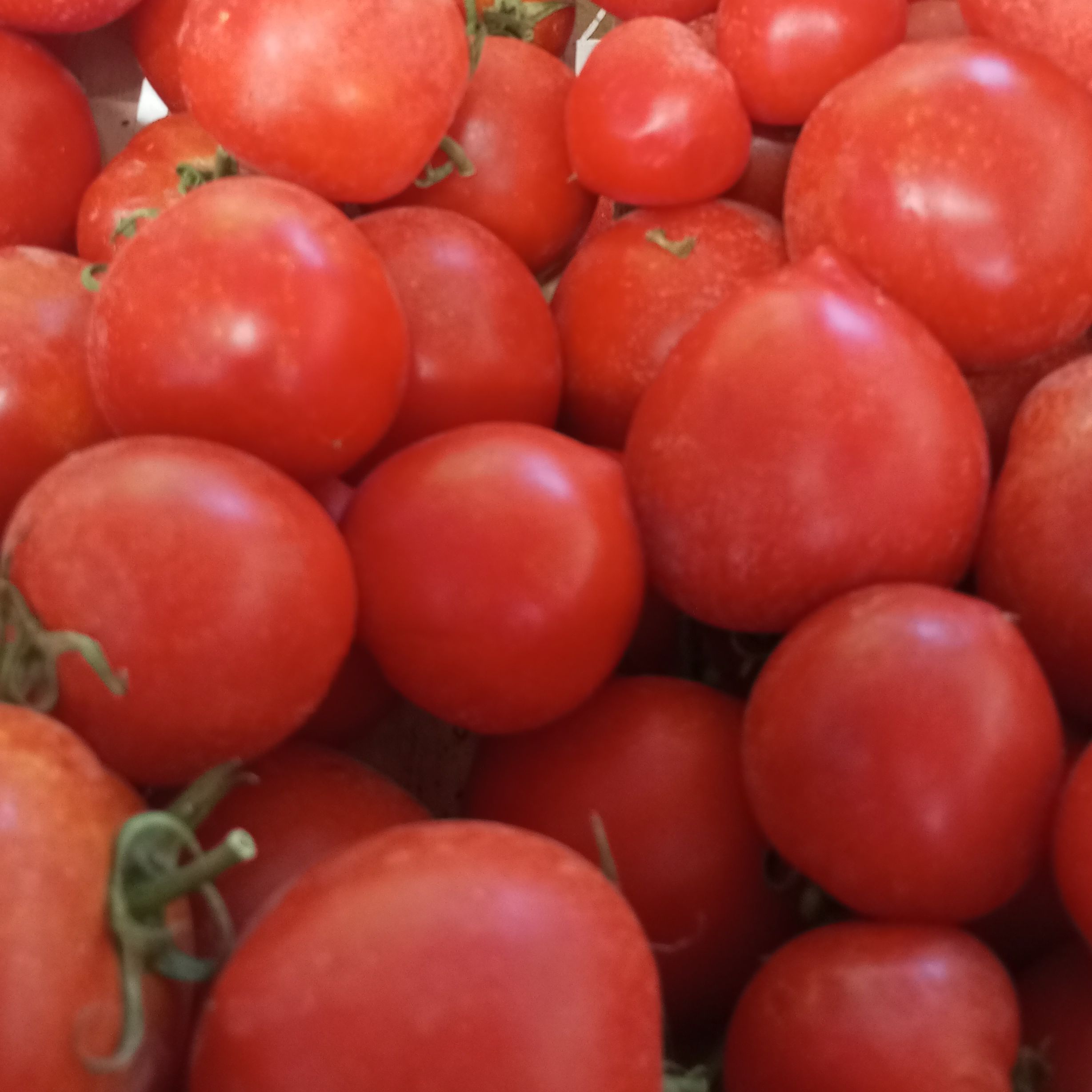 Tomate ronde 2kg - 2kg