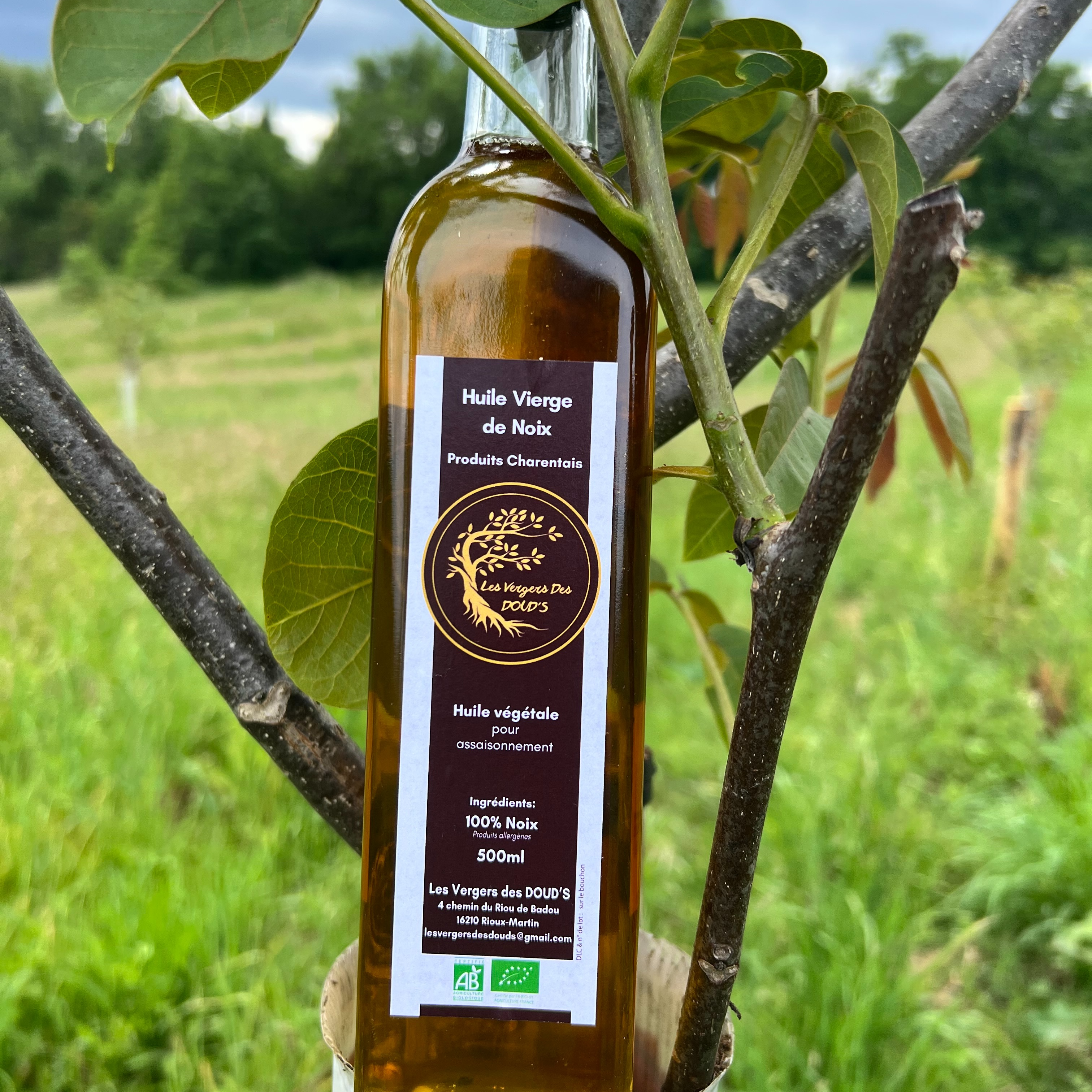 Huile de Noix pressé à chaud - 500ml