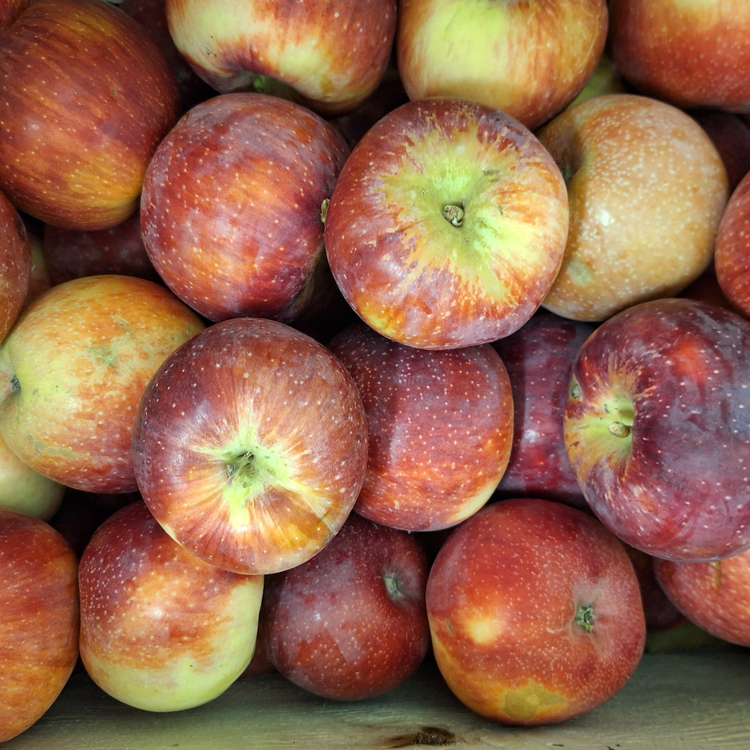 POMME BIO JULIETTE 1 kg