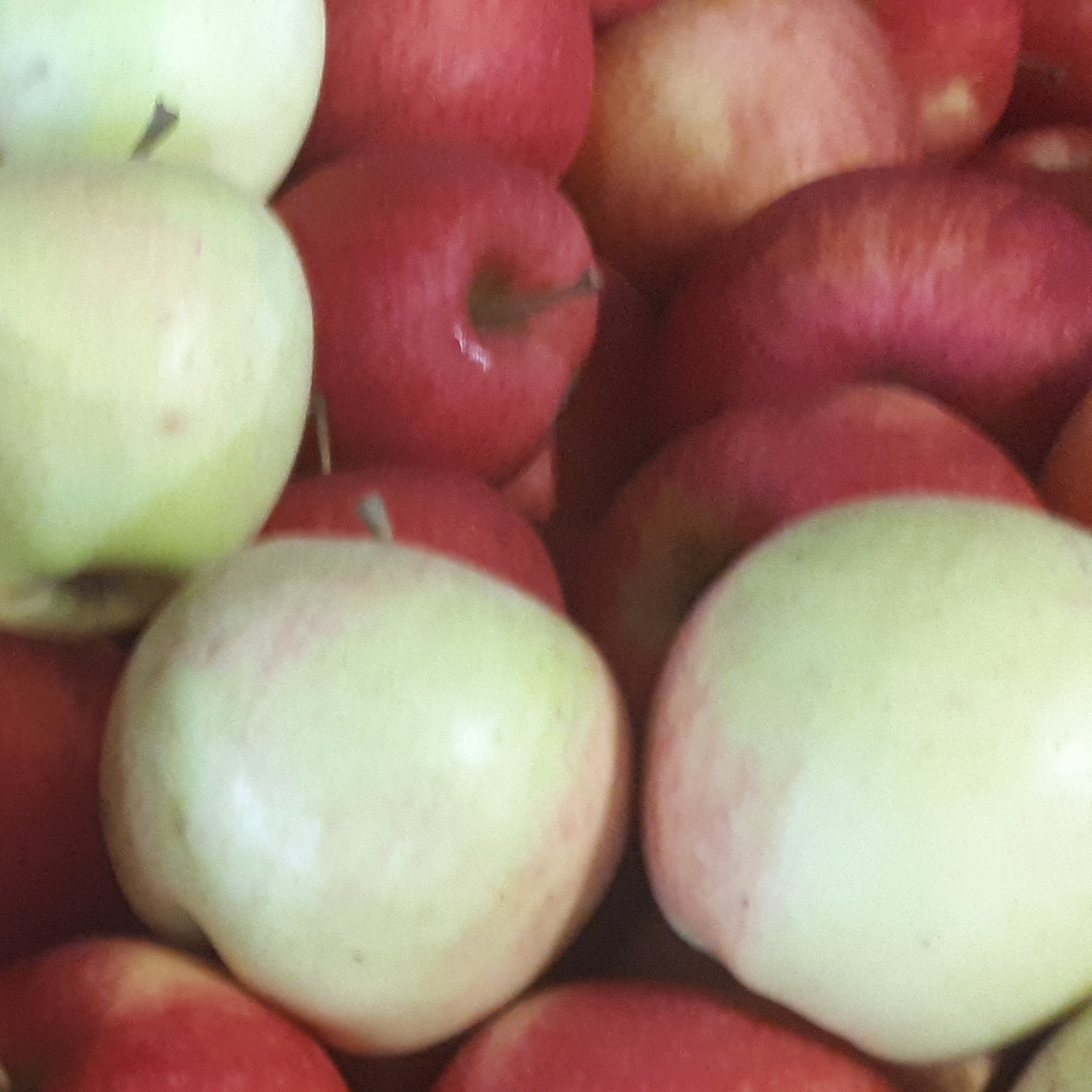 Mélange de pommes bio et demeter 13kg