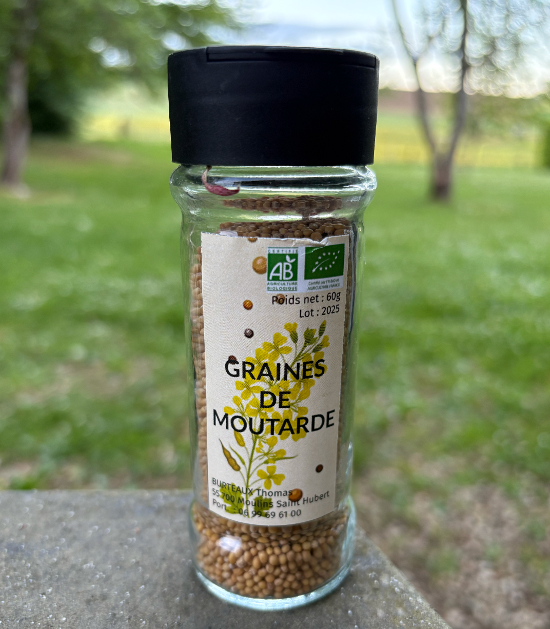 Graines de moutarde - 60g