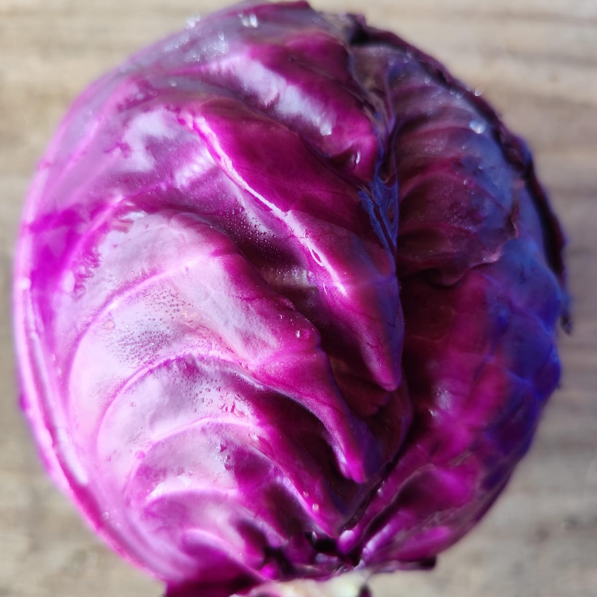 Chou rouge 500g