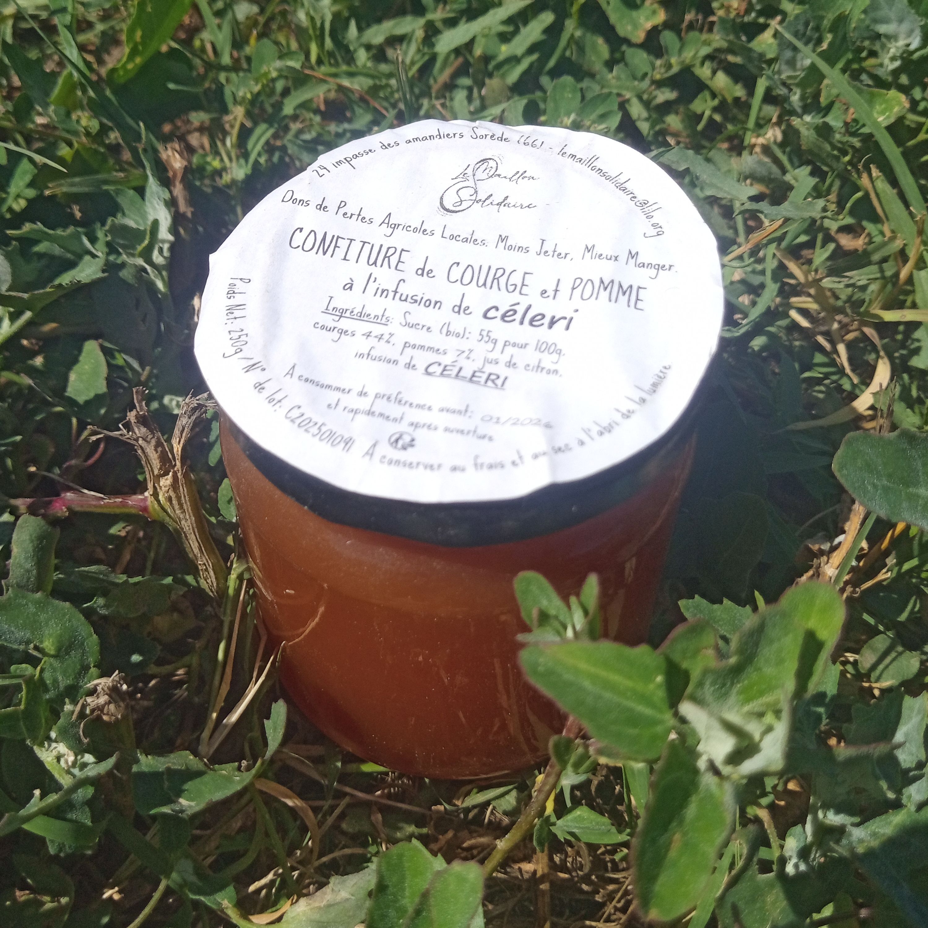 Confiture Courge et Pomme à l'infusion de Céleri / 250g