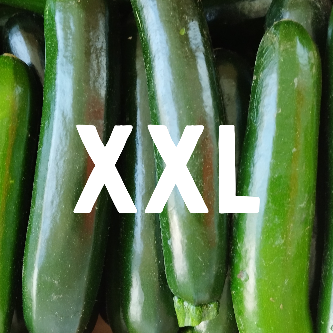 Courgette (très) Gros Calibre