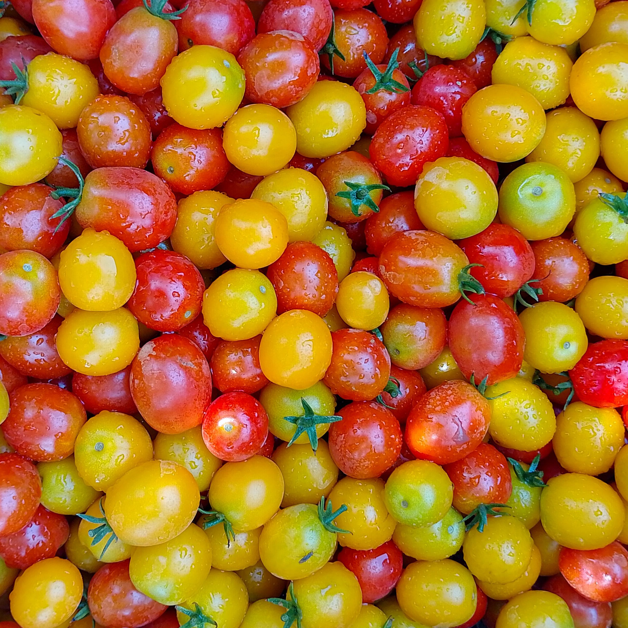 Tomates cerises - 500g