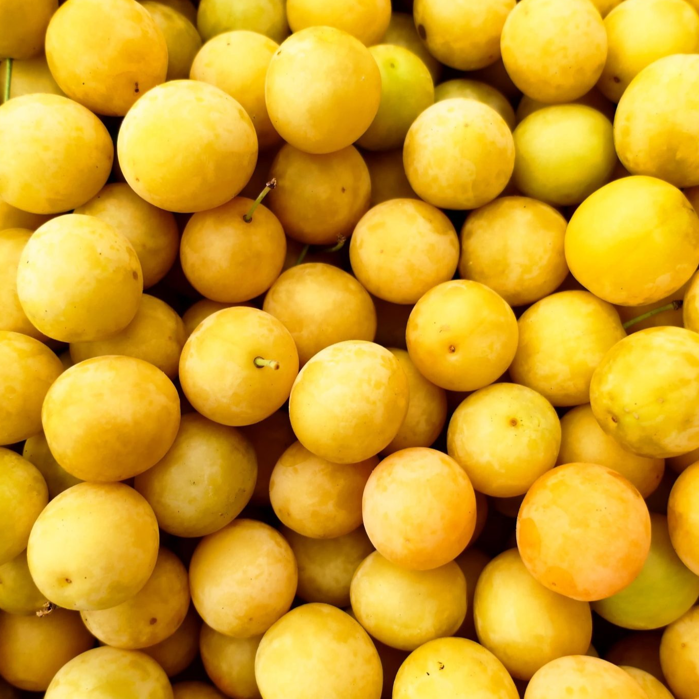 Mirabelle - 500g