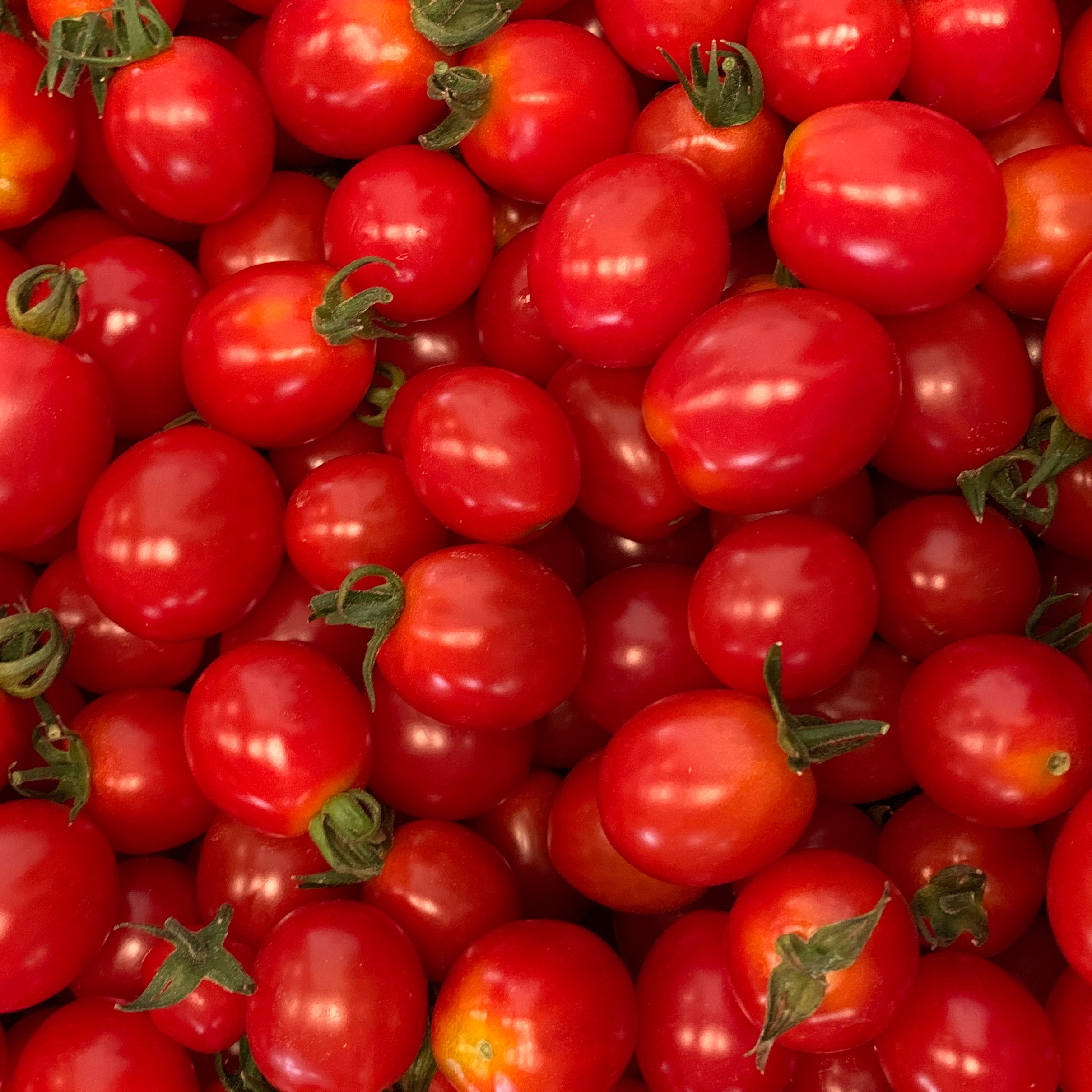 Tomate cerise