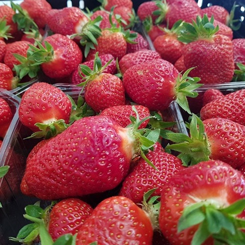 Fraise - 500g