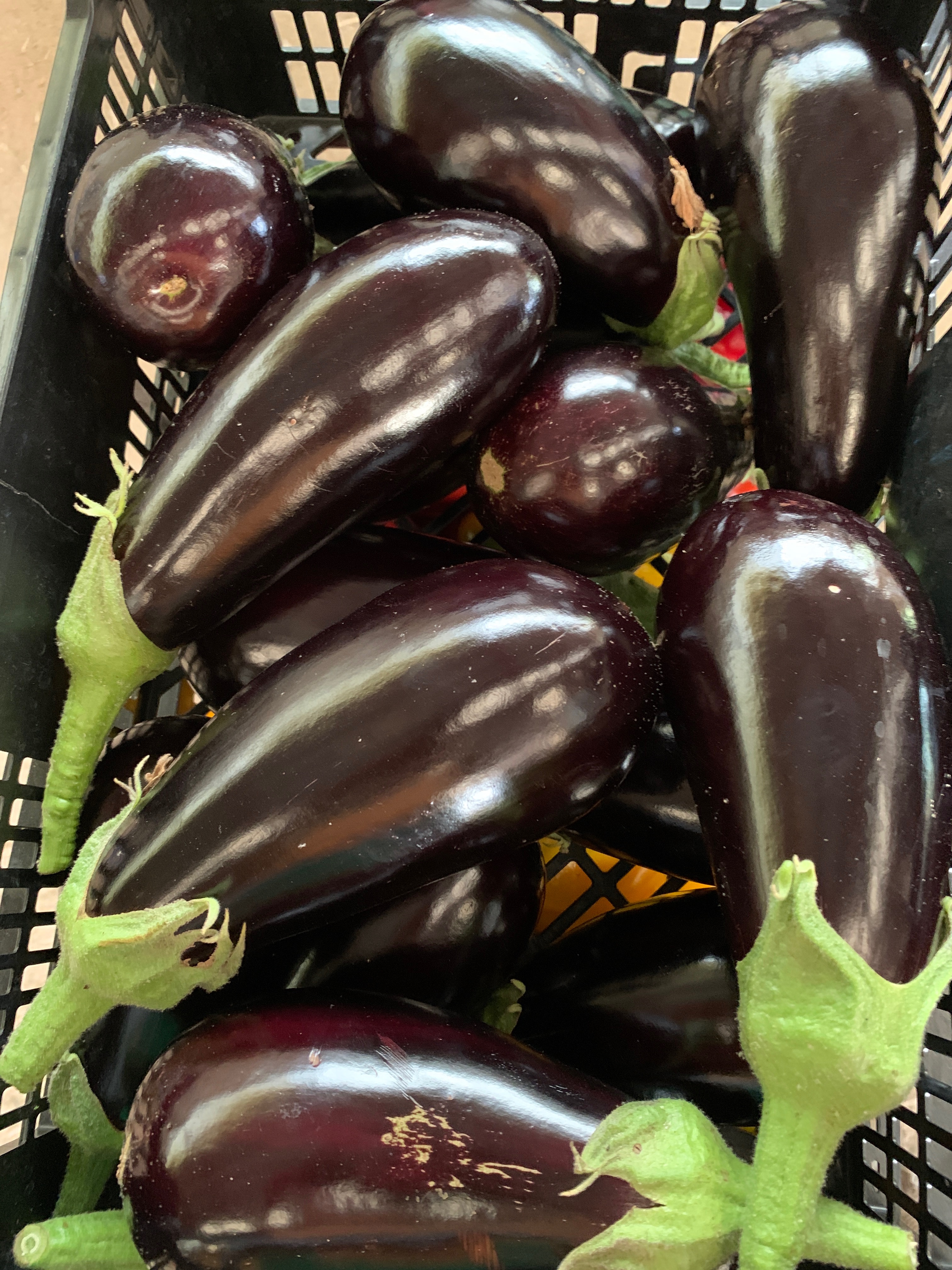 Aubergine - 300g