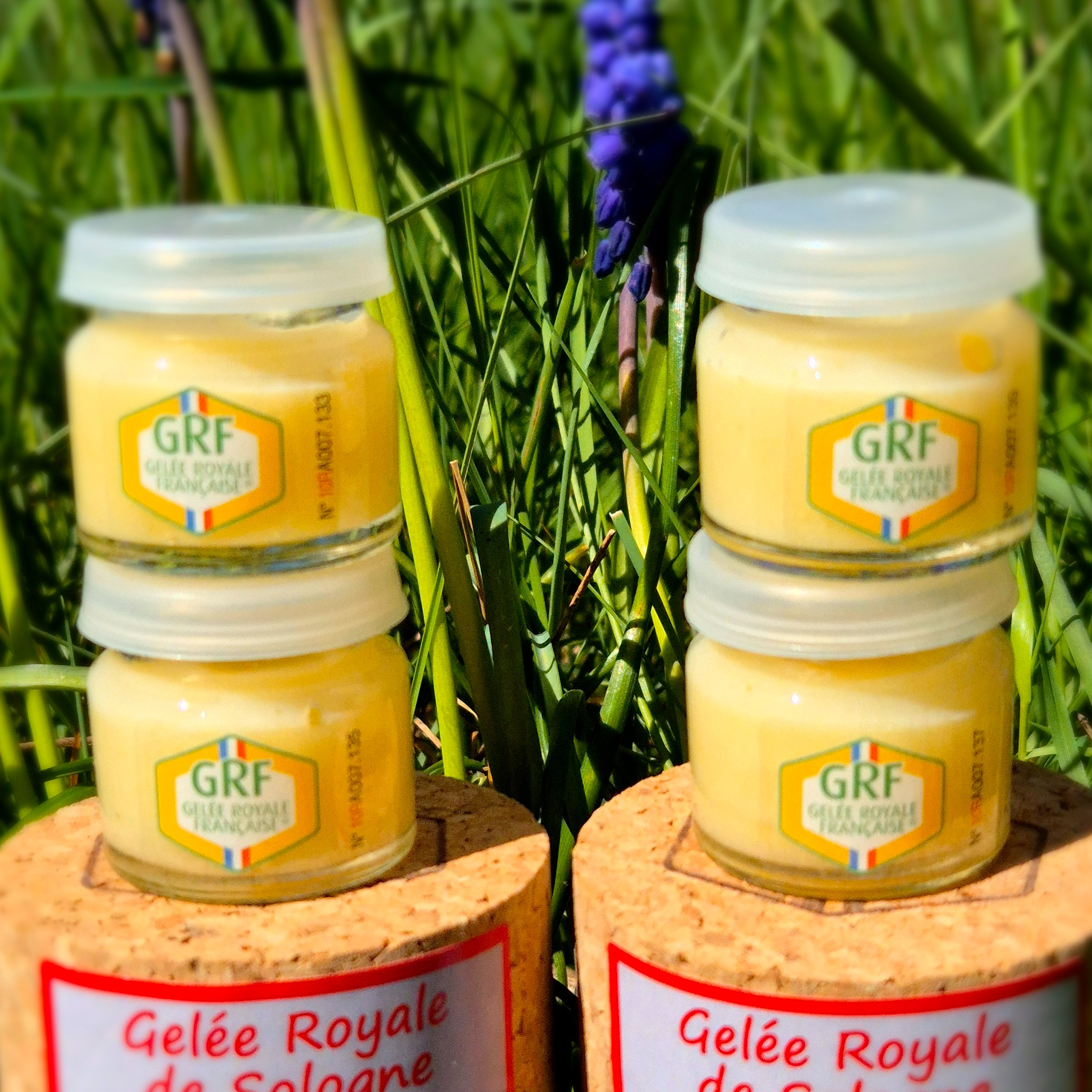 4 Pots De 10 G Dans 2 Coffrets Liège - 40g