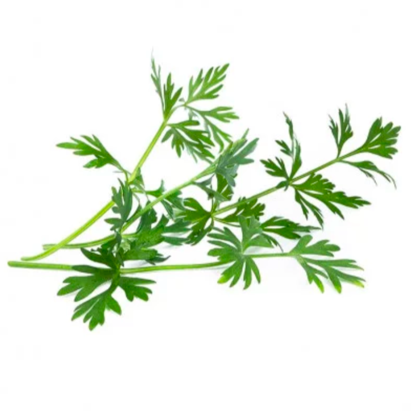 Cumin baby - 5g