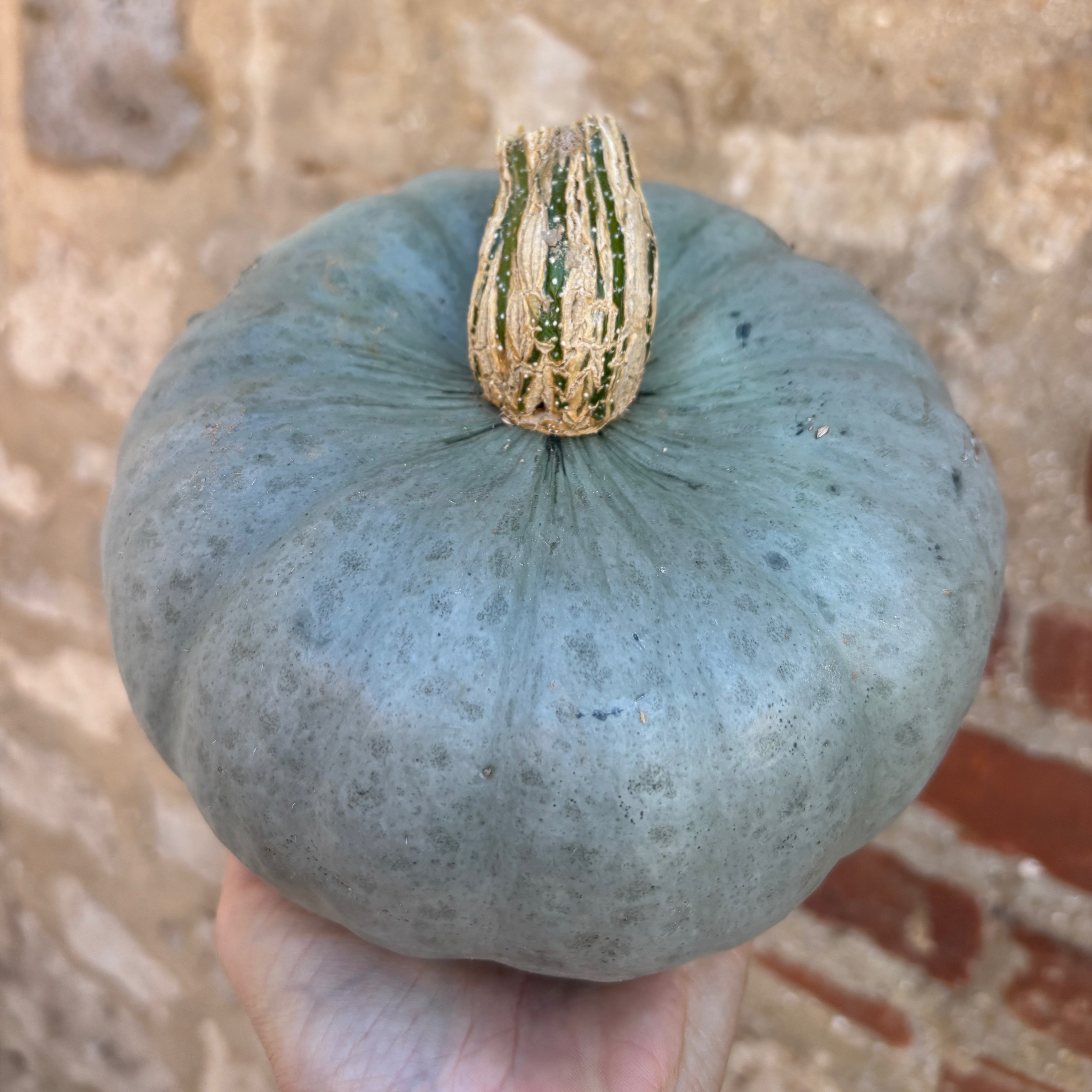 Bleue de Hongrie 1,2kg