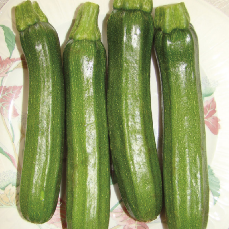 Courgette verte