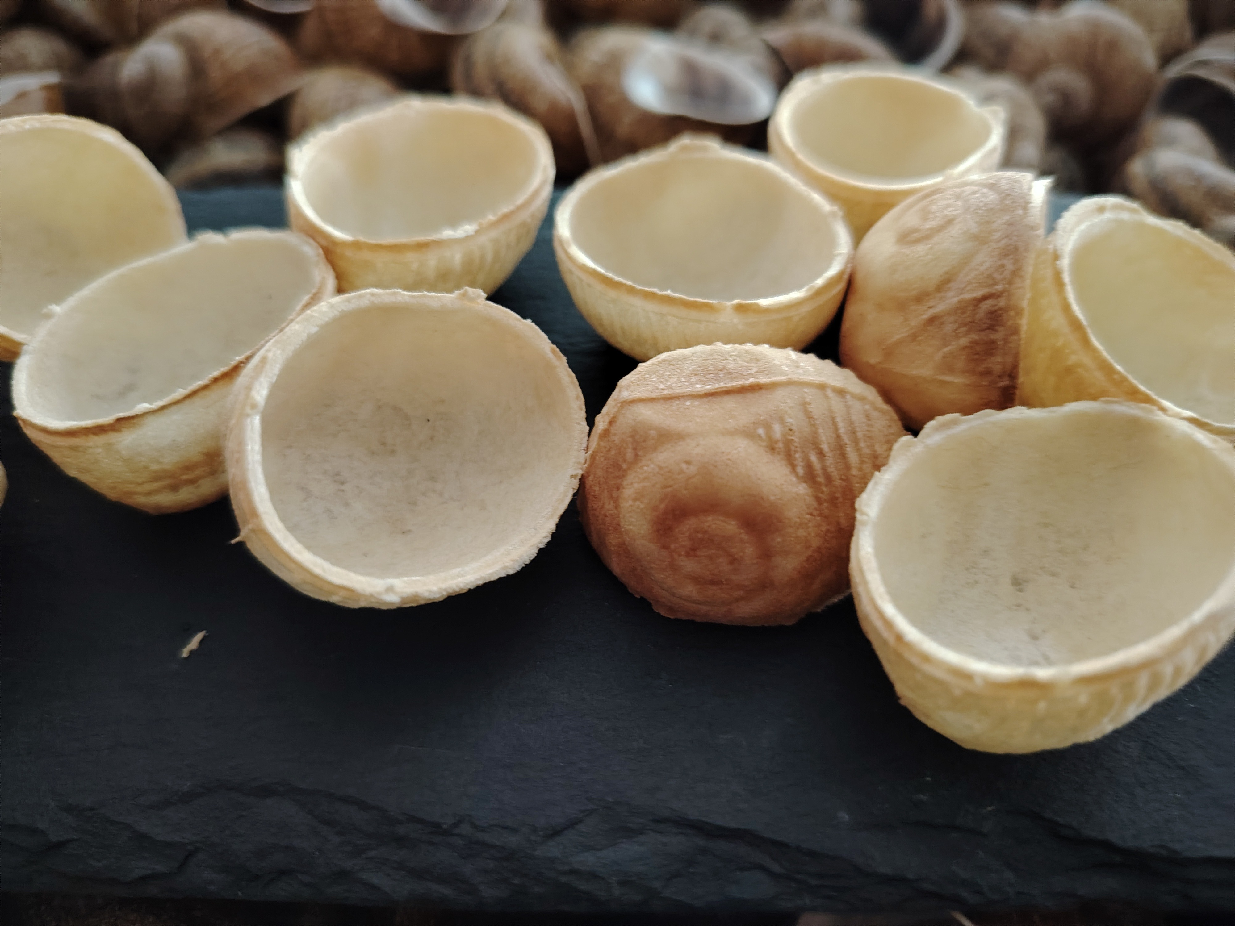 Croquilles Vides (24)
