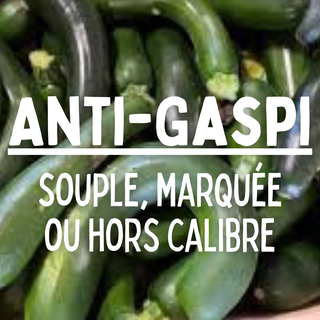 Courgette ANTI GASPI - 1 kg