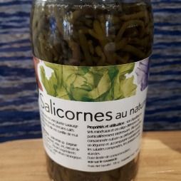 SALICORNES au NATUREL (''Légume de la mer'')