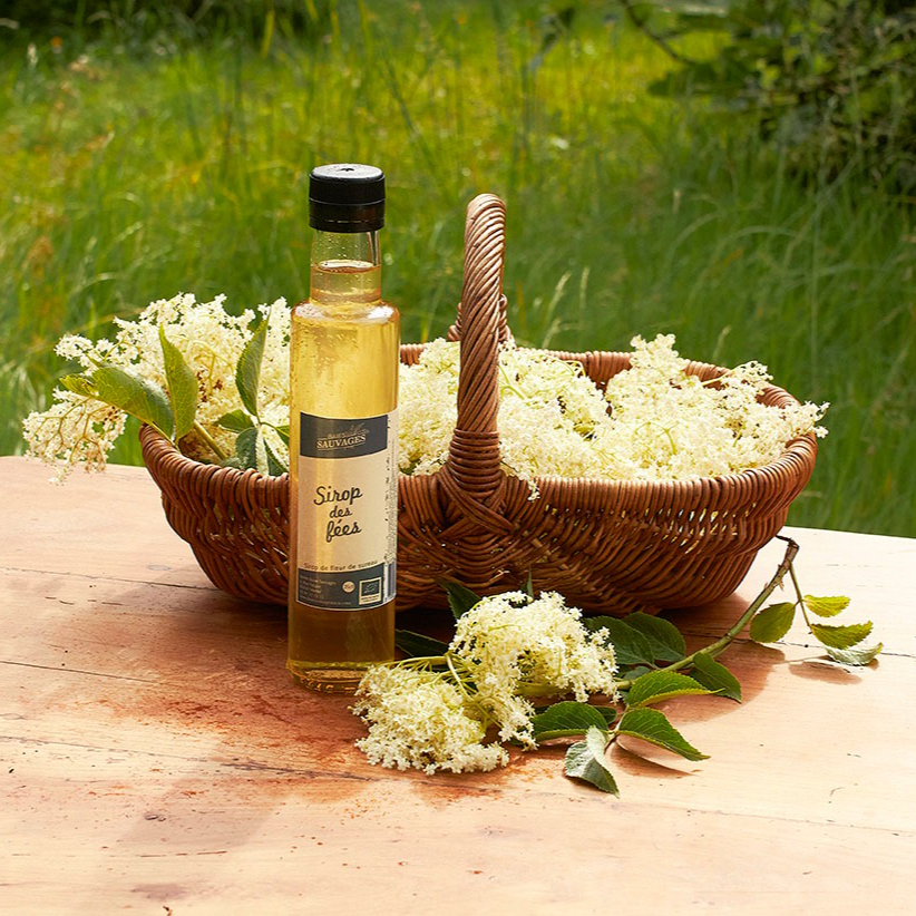 Sirop des fées à la fleur de sureau