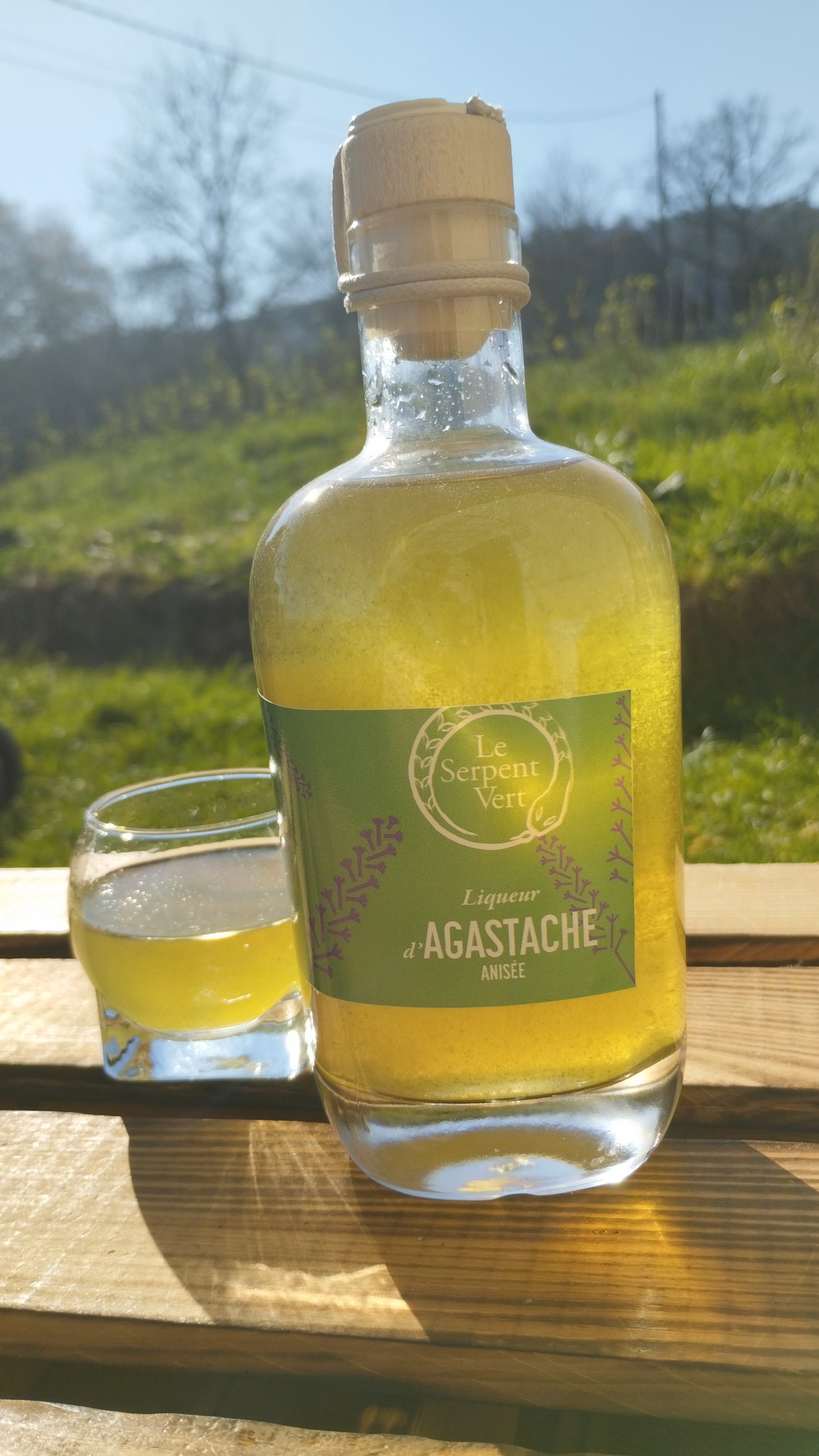 LIQUEUR AGASTACHE ANISEE - 35cl