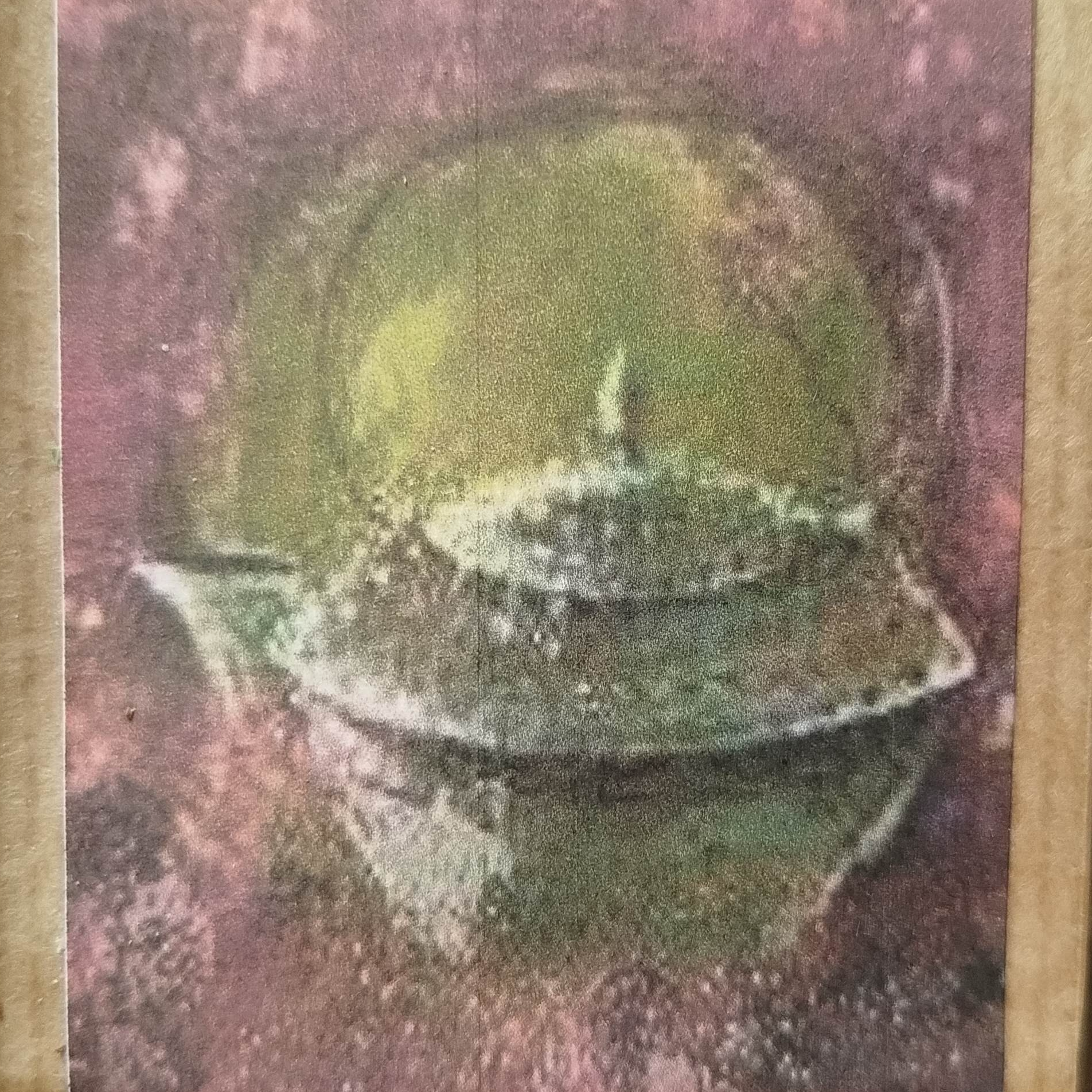 Rooibos Mangue, Orange - 100g