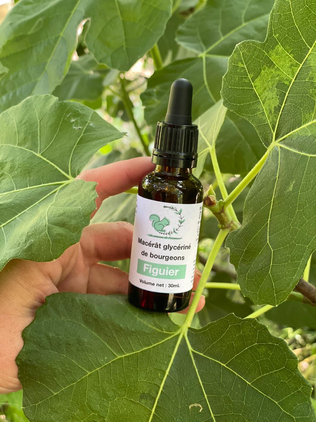 Gemmothérapie Figuier - 30ml