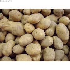 POMME DE TERRE NON LAVEE