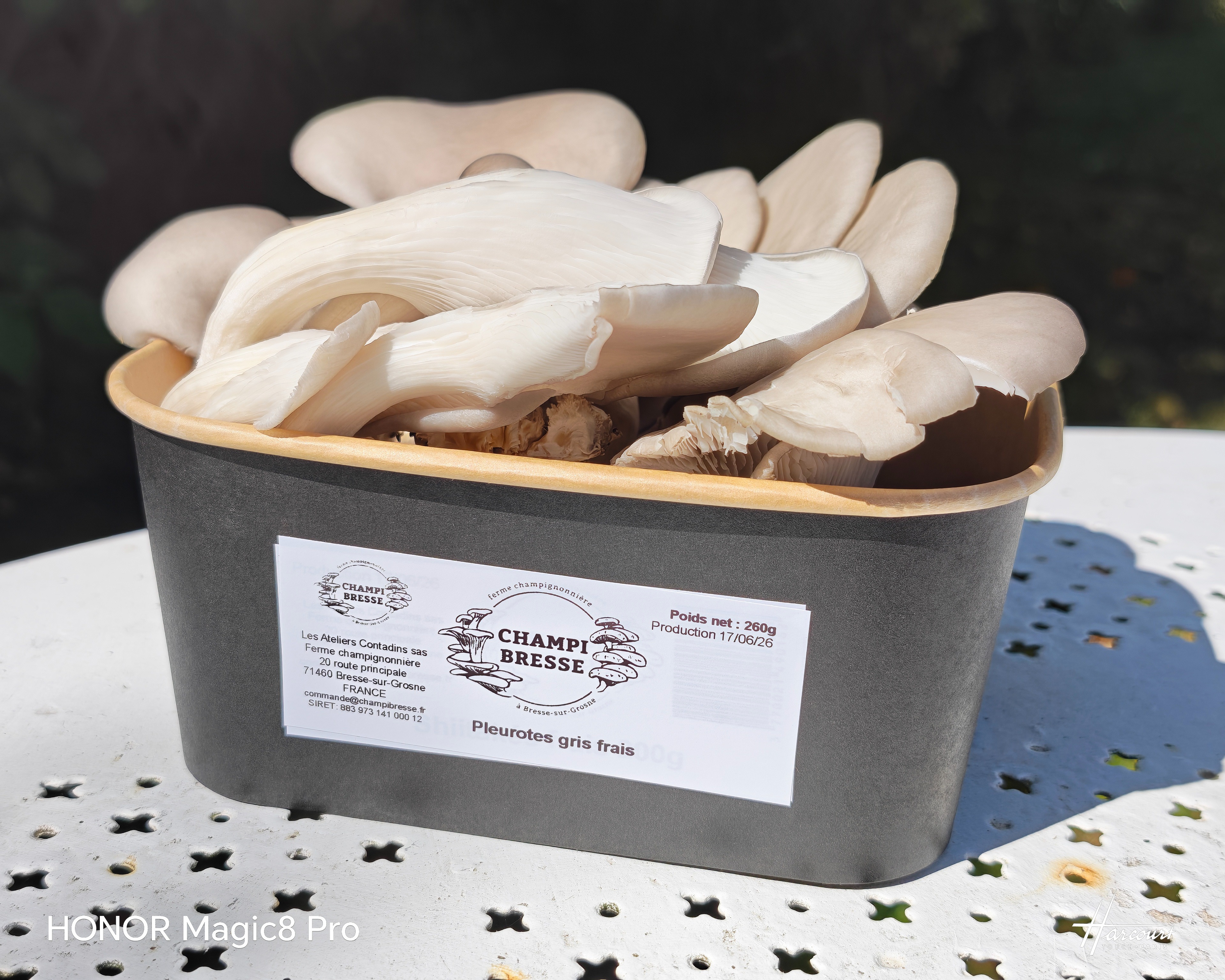 Pleurotes gris en barquette - 260g