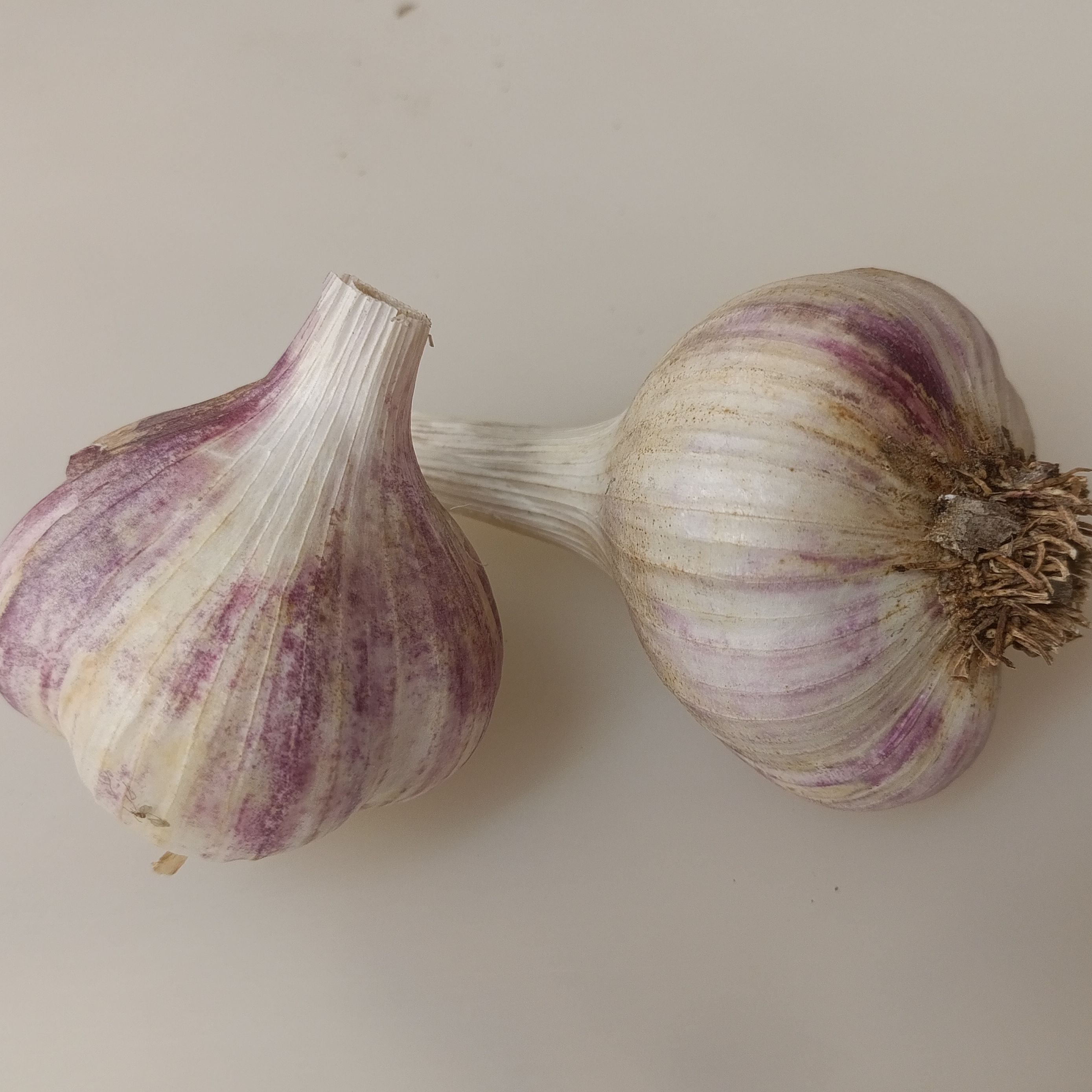 Ail sec - 2 têtes (environ 120g) - 120g
