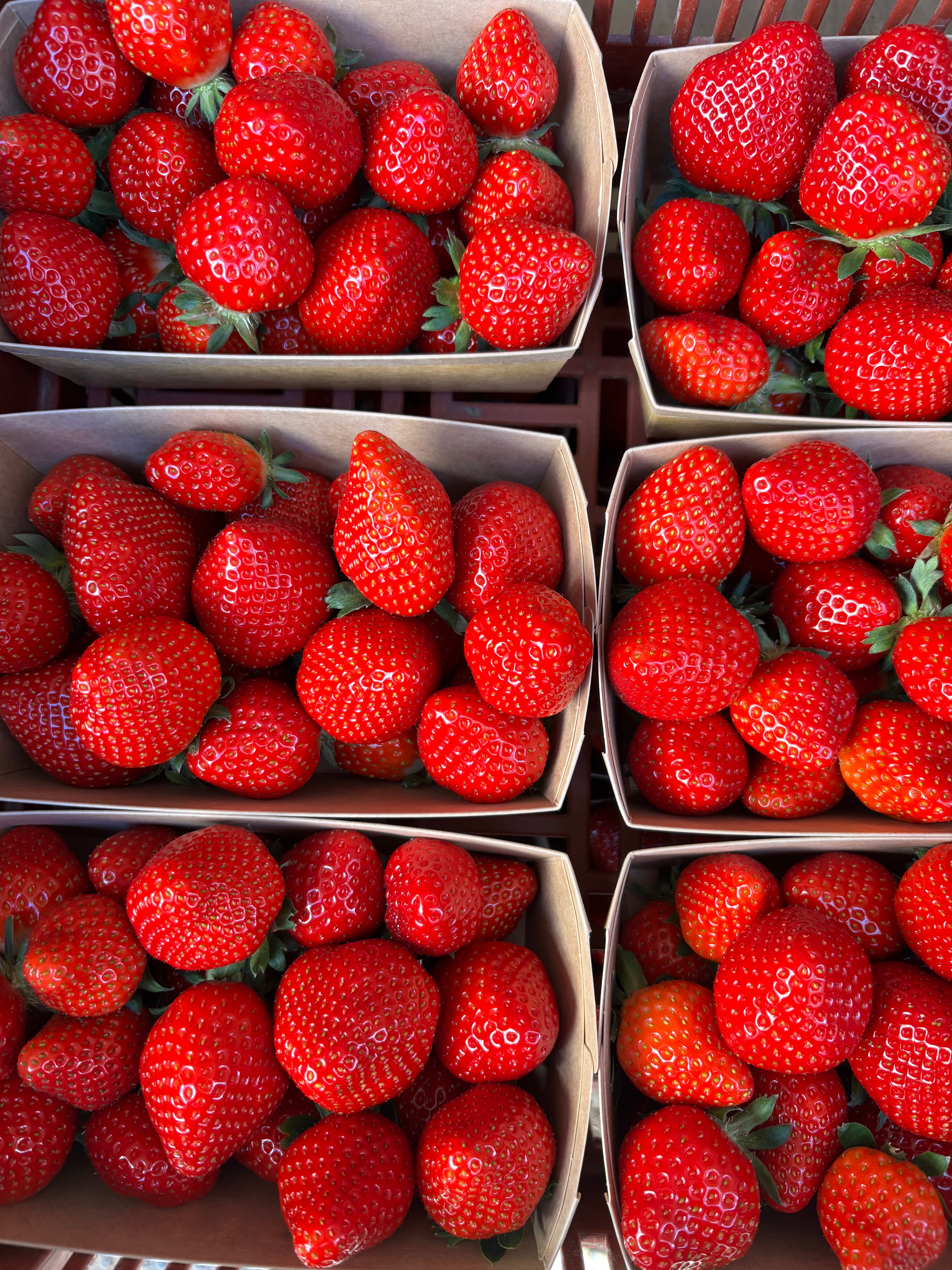 Fraise - barquette de 500g - 500g