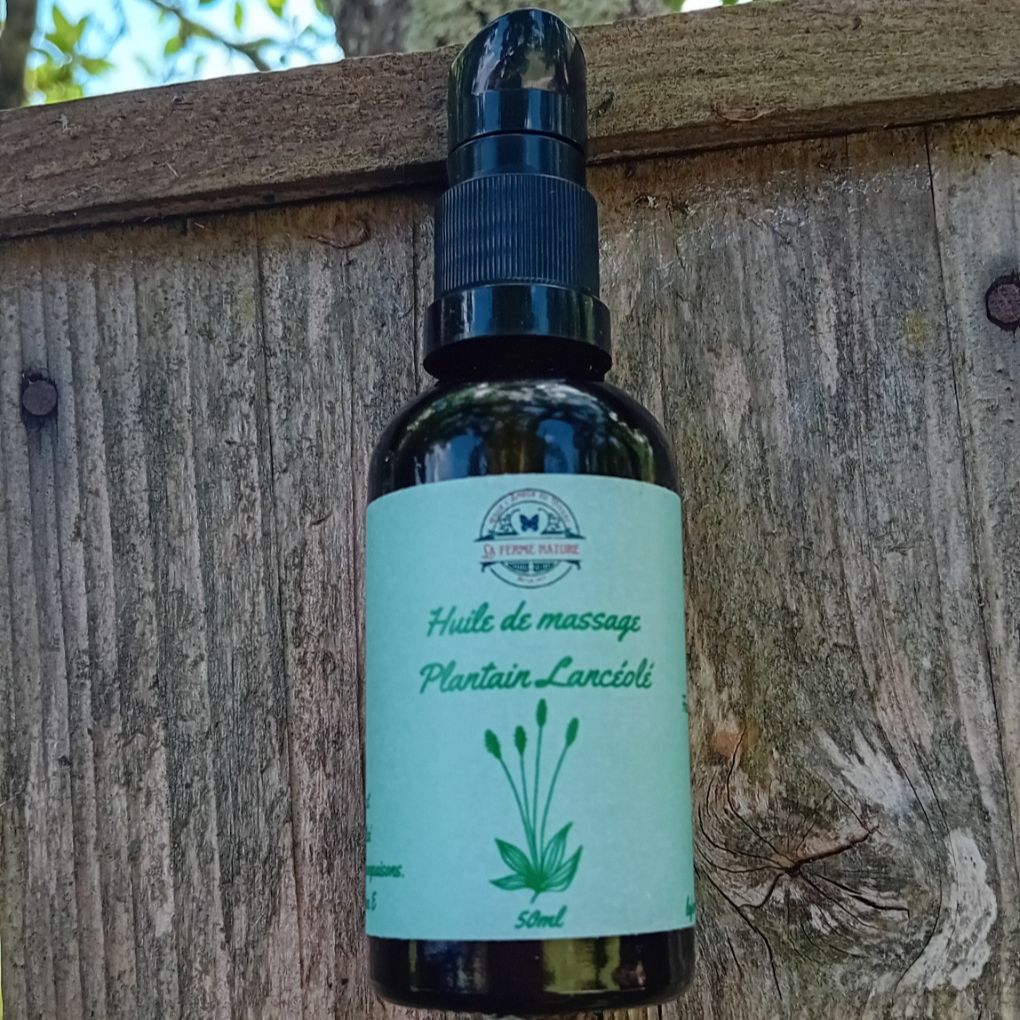 Macération de plantain - 50ml