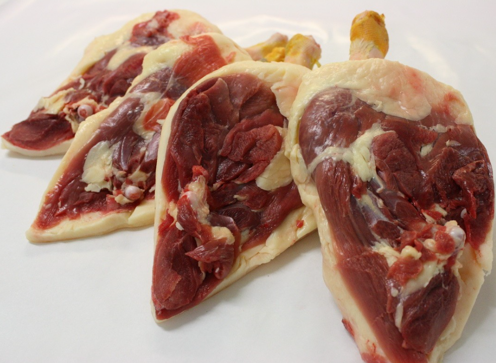 Cuisses Fraiches en commande par téléphone uniquement