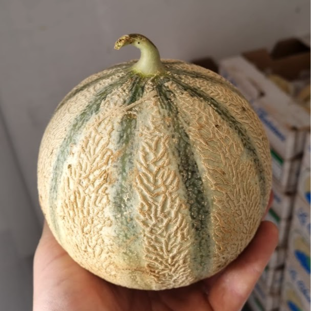Melon - 1kg