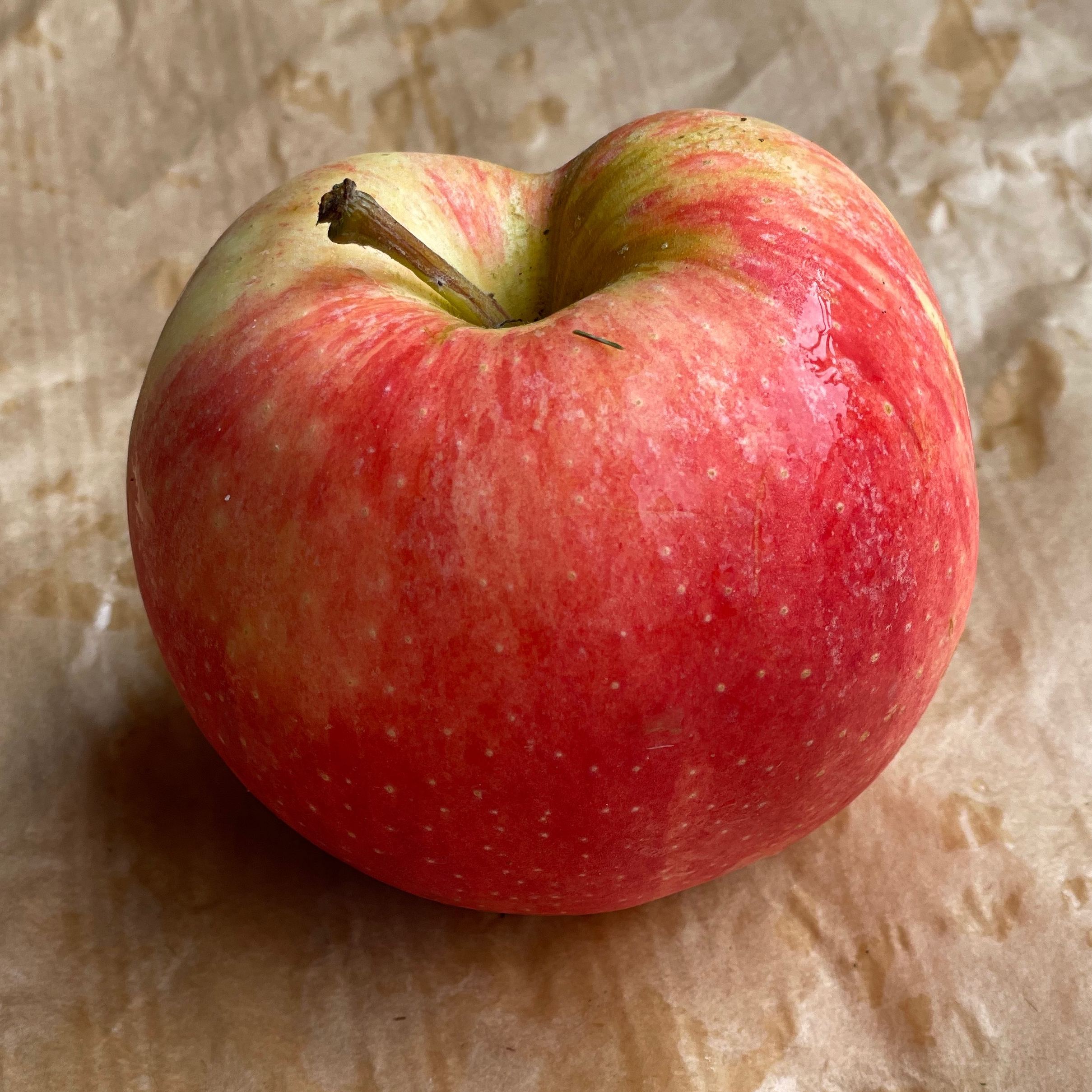 Pomme Royal Gala 0,5kg - 500g