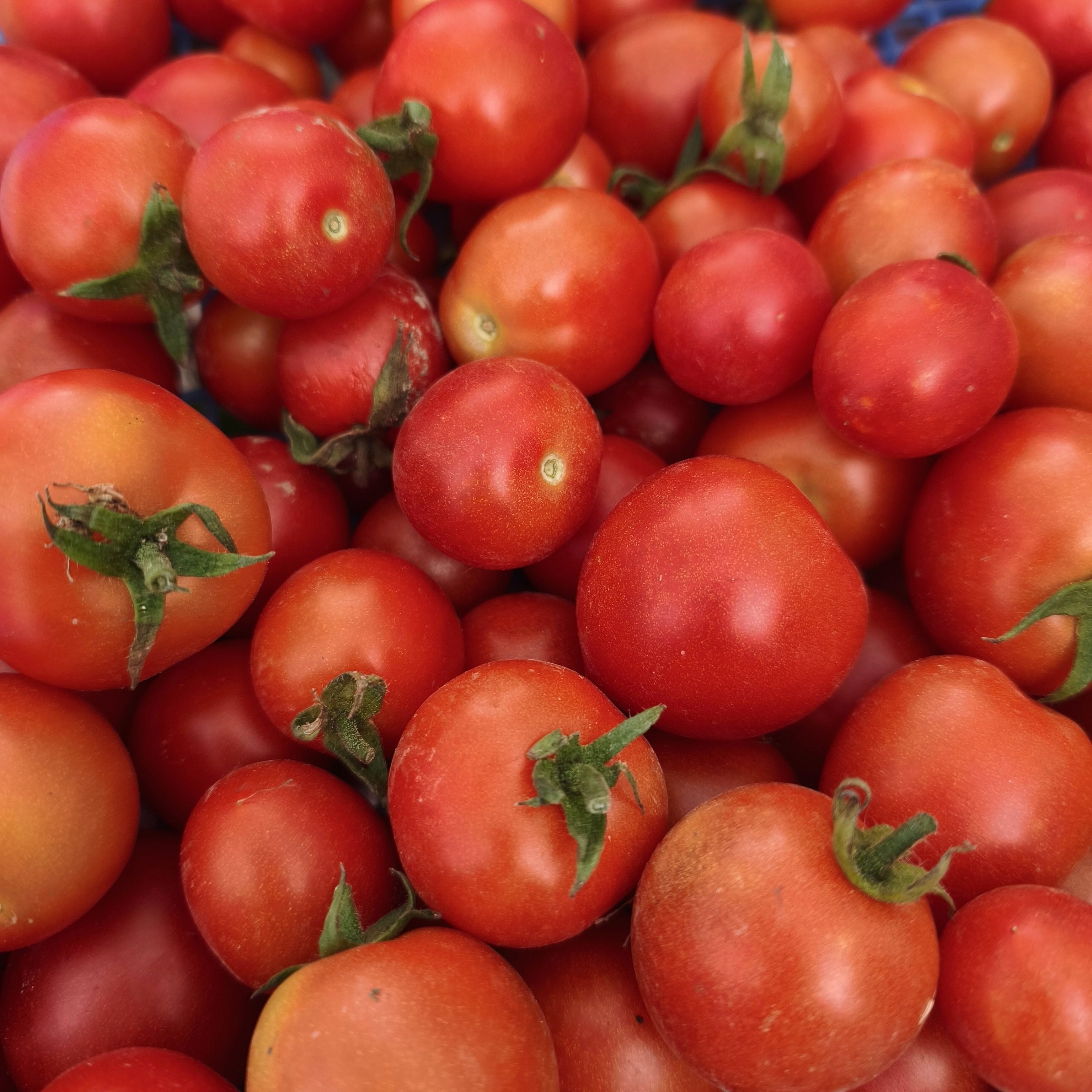 Tomates à Cocktail 250g - 250g