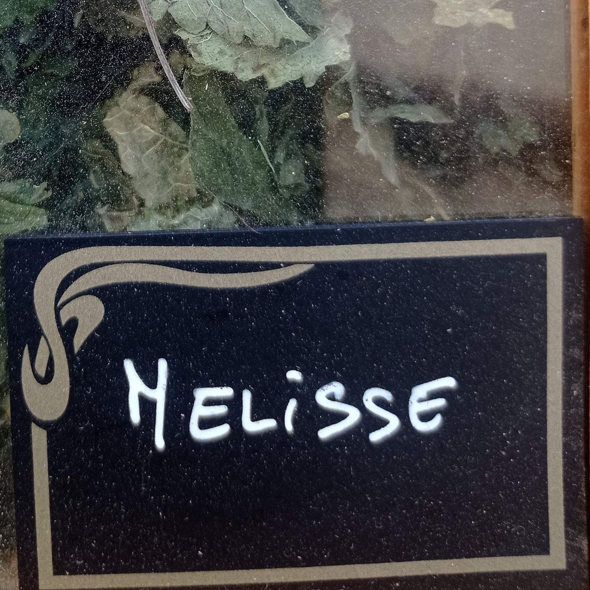 Mélisse sachet de 25g