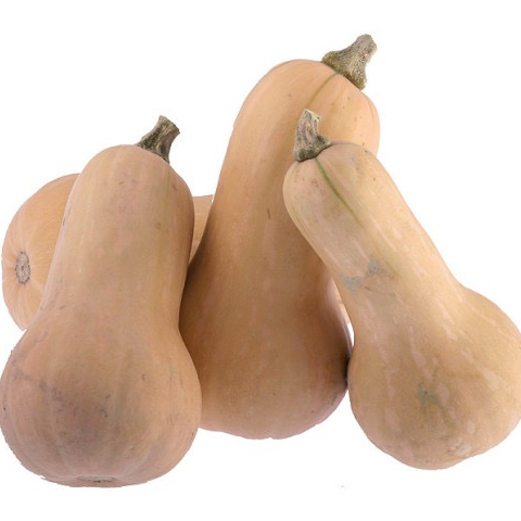 Plant Butternut - 150g