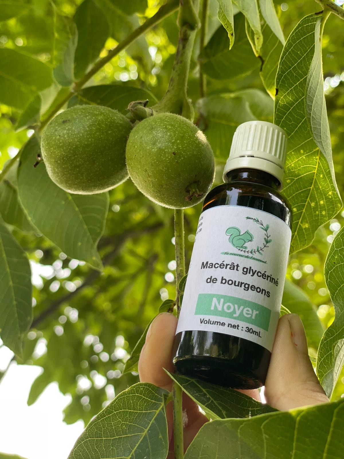 Gemmothérapie Noyer - 30ml